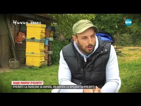 Видео: "Ничия земя": За пчелите, дявола и хората (29.06.2019)