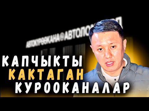 Видео: Капчыкты кактаган күрөөканалар | Улукбек Карыбек уулу