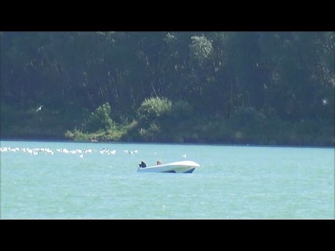 Видео: Перевернулись на водном мотоцикле с подвесным лодочным мотором. Что делать?