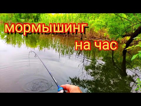 Видео: Мормышинг.И снова караси...