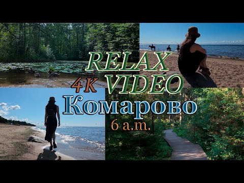 Видео: Экотропа в Комарово, звуки природы, прогулка в 6 утра/SaintPetersburg/4k/Relaxvideo/Sounds of nature