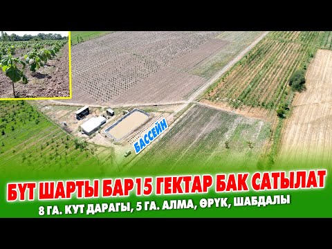 Видео: МЫНАКЕ! 15 гектар чоӊ проектеги БАК сатылат ~ Үй, сарай, бассейн бар