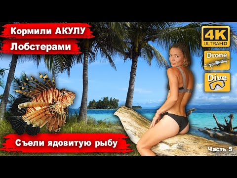 Видео: Кормили акулу лобстерами. Подводная охота на ядовитую рыбу. Самые красивые острова Сан Блас, Чичиме
