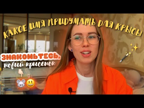 Видео: КАК НАЗВАТЬ КРЫСУ | ЗНАКОМЛЮ ВАС С НОВЫМ КРЫСОМ🥰 СОВЕТЫ ПО ПОДБОРУ КЛИЧКИ