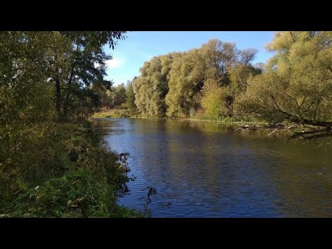 Видео: Реки и их поймы
