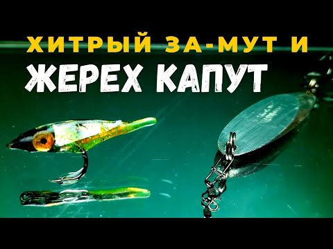 Видео: Идеальная снасть для ловли жереха и других хищников на дальних дистанциях