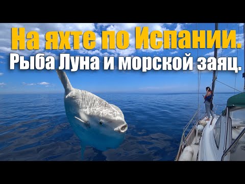 Видео: 201. Путешествие на яхте из Валенсии в испанское Малое море.