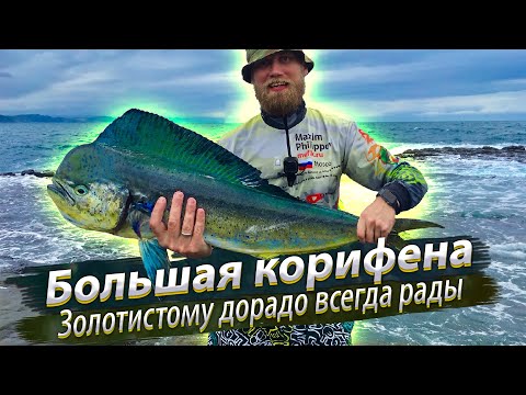 Видео: Восточно-Китайское море 东海. Корифена (鬼頭刀) Малый тунец (巴鰹) Лакедра (紅甘). Морская рыбалка. 2018/10