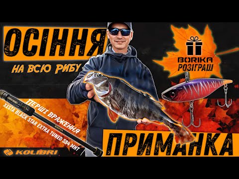 Видео: Xesta Blackstar на рибалці 🐟 Ловимо ВСЕ восени + конкурс від BORIKA