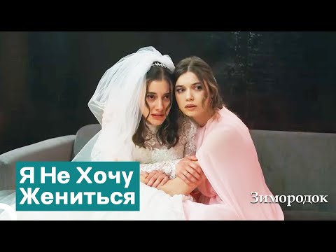 Видео: Принудительный Брак Суна | Зимородок