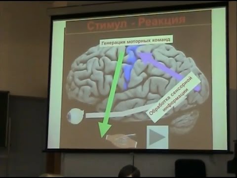 Видео: Юрий Александров - От теории к факту