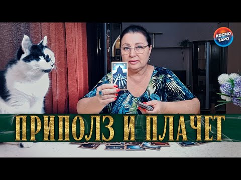Видео: ПРИПОЛЗ И ПЛАЧЕТ! НА ЧТО ОН ЖАЛУЕТСЯ СЕЙЧАС?