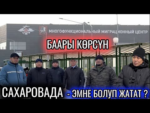 Видео: БААРЫ КӨРСҮН! САХАРОВАДАН МААЛЫМАТ! АЧЫК АЙТЫШТЫ - КЫРГЫЗ ЖИГИТТЕР 🆘