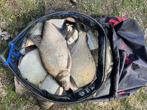 Видео: Открытие сезона по лещу , на реке Уза 2023