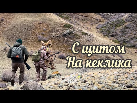 Видео: За кекликом в Торайгыр 😮😁😁!