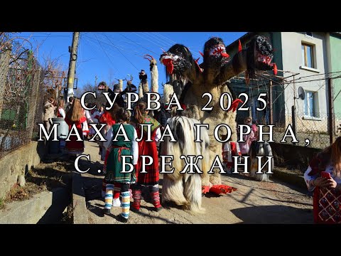 Видео: Сурва 2025 - Махала Горна/ с. Брежани