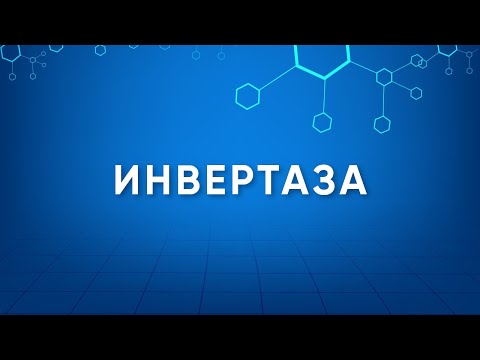 Видео: Инвертаза (Invertase) Назначение. Производство. Применение. Энзимология в деталях.