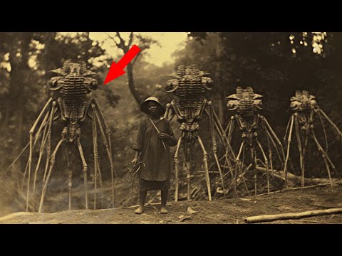 Видео: Эти ФОТО ИСПУГАЛИ Весь Мир! Топ 20 Фотографий, Которые НЕВОЗМОЖНО Объяснить ч.2