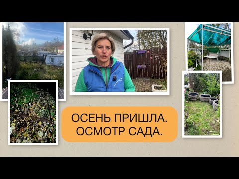 Видео: ОСЕНЬ В САДУ. ГОТОВЛЮСЬ КОНСЕРВИРОВАТЬ ДАЧУ НА ЗИМУ