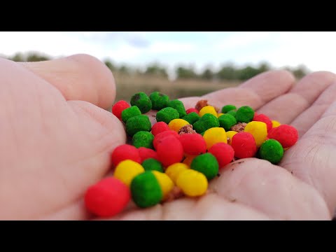 Видео: ЛОВЛЯ КАРПА на кукурузу летом