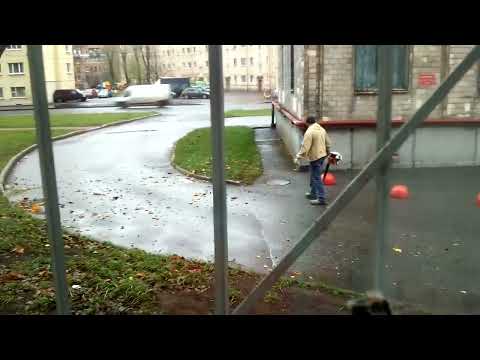 Видео: Современный Дворник – Это Сдуть У Себя, Намусорив У Другого… — Вот Суть «Гражданки» (4 701)