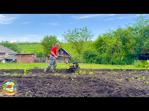 Видео: Простая жизнь на хуторе: пашем, косим! Сходили на пасеку, спасаем сад!