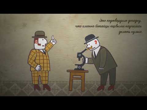 Видео: Древние люди Ботая