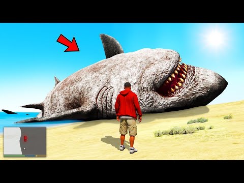 Видео: ФРАНКЛИН ГИГАНТ МЕГАЛОДОНДЫ ҰСТАДЫ (GTA V)