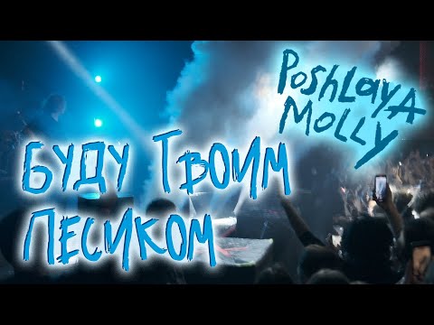 Видео: Пошлая Молли -  Буду твоим песиком (Гигант Холл Спб 09.01.22)