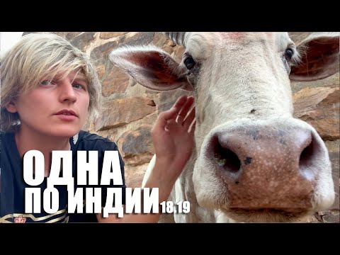 Видео: По Индии в одиночку. 18.19 [У заброшенной крепости]