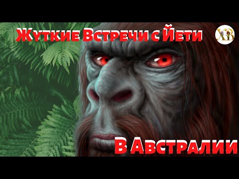 Видео: Жуткие встречи с Йети в Австралии. Существо одним движением разорвало кенгуру...