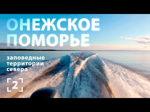Видео: Медвежьими тропами. ОНЕЖСКОЕ ПОМОРЬЕ (English subtitles)