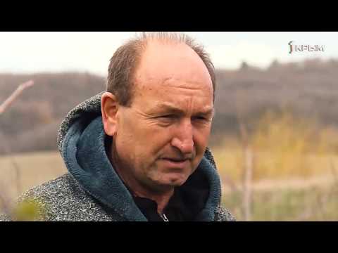 Видео: Деревенское счастье среди холмов