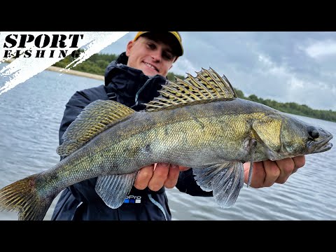 Видео: СУДАК ШАХТЁР! Ловля СУДАКА на ДЖИГ с лодки в сентябре 2021! Судак на спиннинг в сентябре!