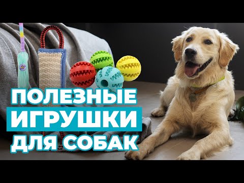 Видео: СОБРАЛИ для вас САМЫЕ ПОЛЕЗНЫЕ ИГРУШКИ для СОБАК