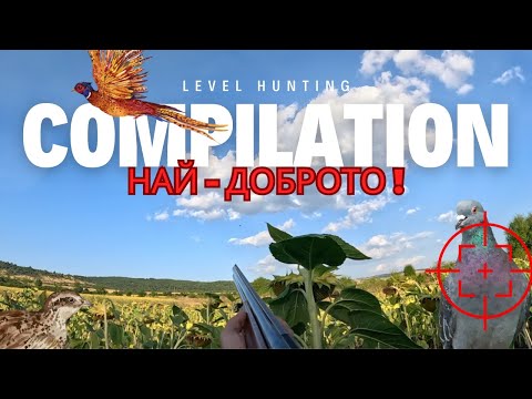 Видео: КОМПИЛАЦИЯ 2023! Лов на пернат дивеч! ФАЗАН , ПЪДПЪДЪК , ГРИВЯК ! НАЙ - ДОБРОТО ДО СЕГА !!