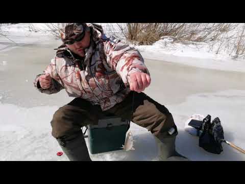 Видео: По последнему льду Чумыша. Костёнково-Крест-Зори.