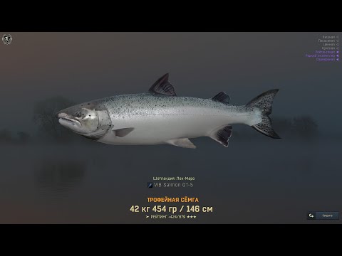 Видео: Fisher Online: Шотландия, Семга