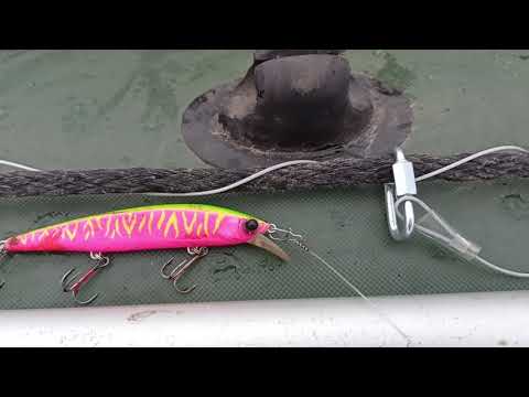 Видео: Риренж 110 твичинг!