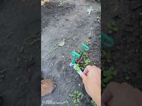 Видео: Дела огородные. Розовая клумба🌹