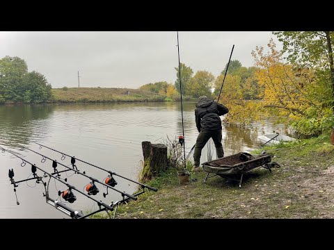 Видео: ЦЯ НАСАДКА БЕЗПРОГРАШНА! Риба клює як скажена в дощ. Тиждень на риболовлі 