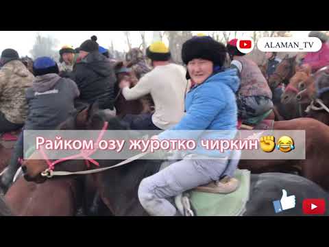 Видео: Аламан! Жайыл району Петропаловка айылында болгон Аламан улак!🇰🇬🇰🇬🇰🇬🐐🐐👌