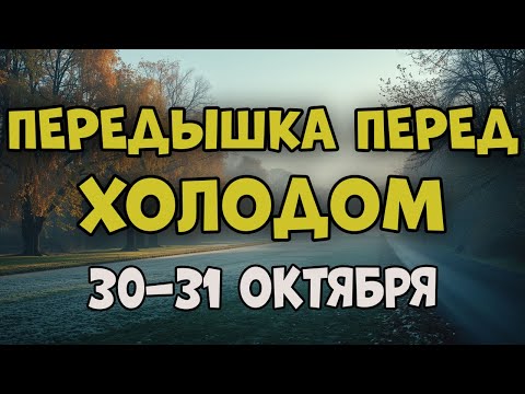 Видео: ПОСЛЕДНИЕ ТЁПЛЫЕ ДНИ 🌤 ПРОГНОЗ ПОГОДЫ НА 30–31 ОКТЯБРЯ ПО ВСЕМ ГОРОДАМ КАЗАХСТАНА 🇰🇿