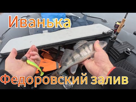 Видео: Первый раз на Иваньковском водохранилище. Рыба капризная