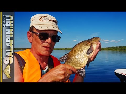 Видео: Ловля леща с лодки бортовыми удочками на озере Плещеево. Экшн-рыбалка. [salapinru]