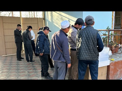 Видео: ХИТОЙДАН ЯНГИЛИК ИНКУБАТОРЛАР КЕЛДИ 2025 JO’JA OCHIRISH MUAMMO EMAS