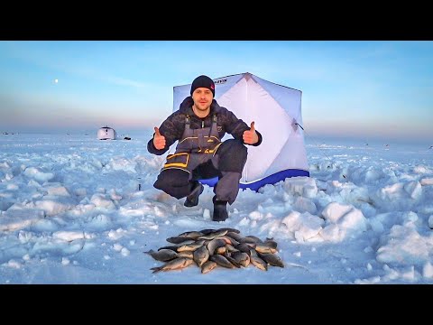 Видео: Зимняя рыбалка на карася. Отличный клёв. Озеро Уелги
