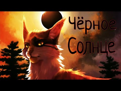Видео: ЗАКАЗ Коты Воители Сол: Чёрное солнце [Би-2]