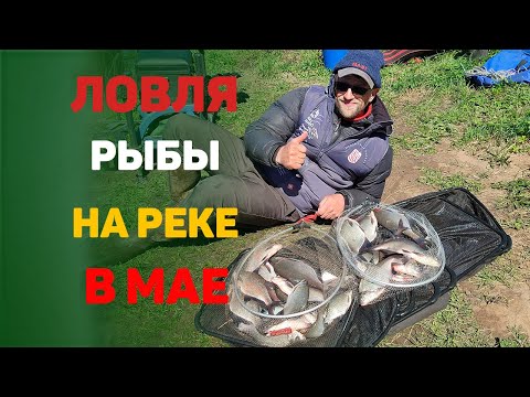 Видео: ловля рыбы на реке в мае