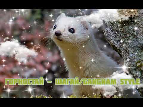 Видео: Горностай - Шагай/Gangnam Style|Шоу  "Маска-4|[4-Выпуск🖇]